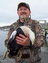 Allan Ellis eider hen